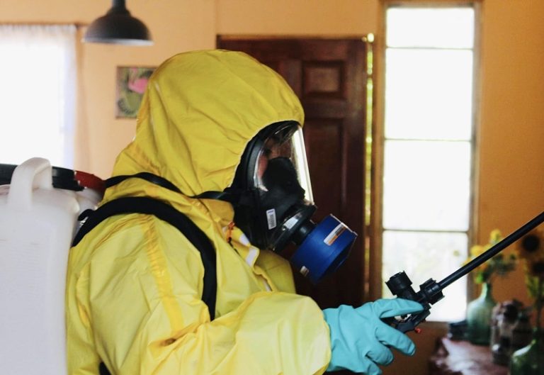 Ante hallazgo de huevos de zancudo que transmiten el Dengue: Activan operativo en Los Andes y Calle Larga