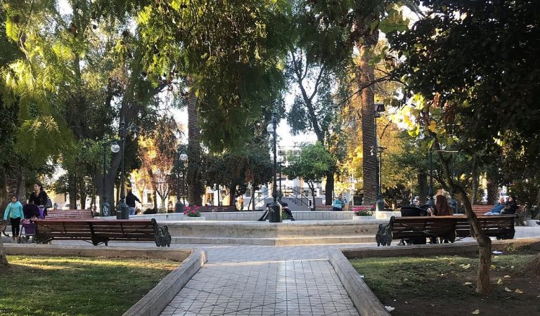Abren convocatoria para renovar representantes del COSOC de Los Andes para el período 2026-2030